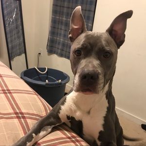 Meet your Posher, Kimani